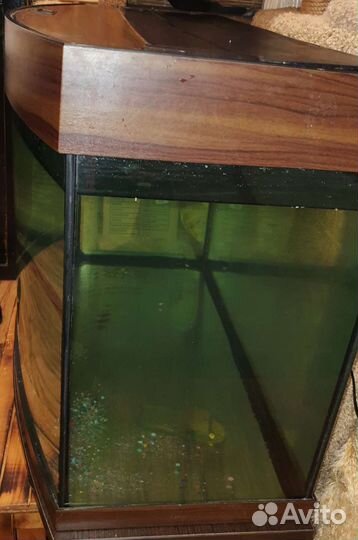 Аквариум Juwel 200 литров с тумбой