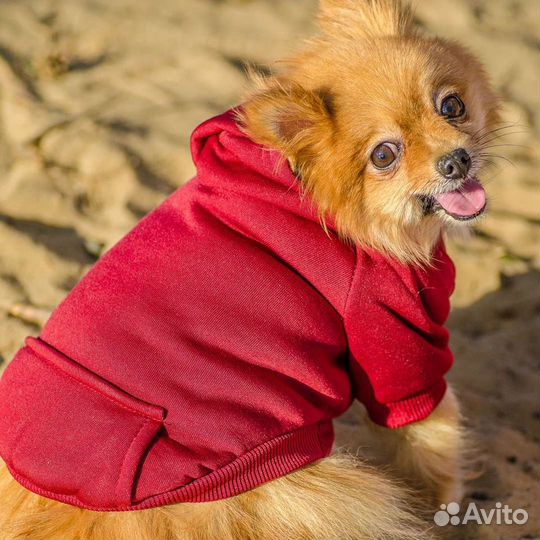 Одежда для собак кошек дождевик толстовка новый