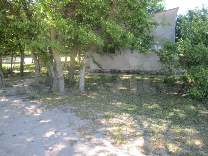 Жители села кузнецкие черноморского района крым в вк. Авито черное море. Водопойное черноморский район село. Ул кооперативная черноморское. Улица пограничная межводное крым.