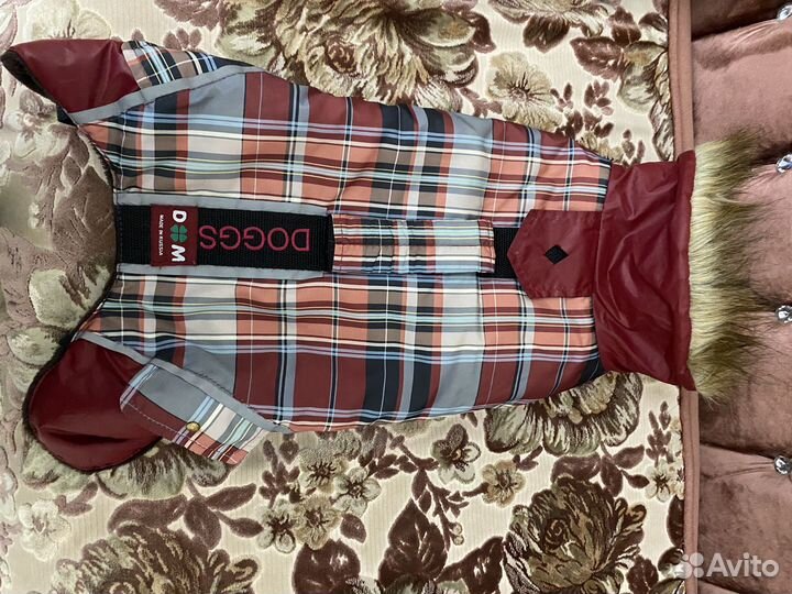 Одежда для собак