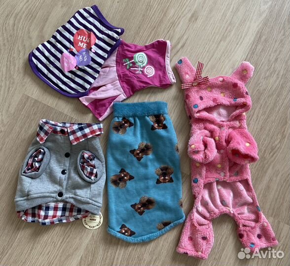 Одежда для собак кошек
