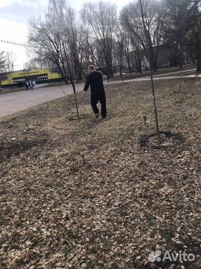 Продажа семян для газонов