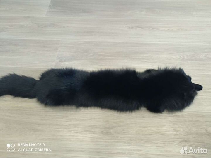 Шкурка животного