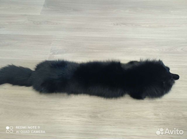 Шкурка животного