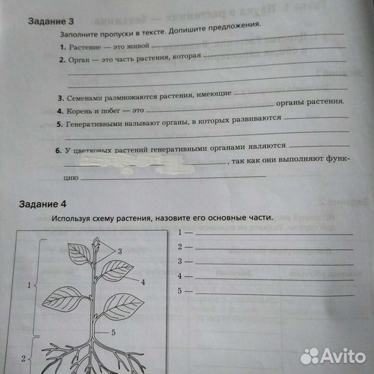 Рабочая тетрадь по биологии. 6 класс 1 и 2 часть