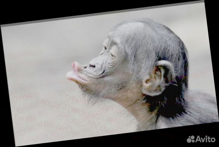 Требуется Подсобный рабочий Еженед.выплаты /Беспл