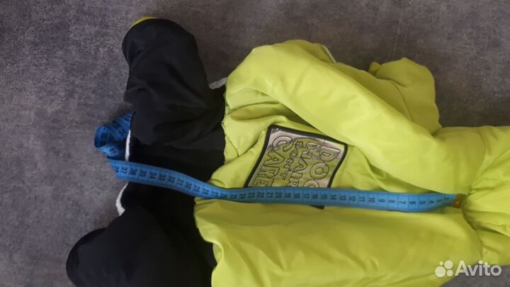 Одежда для собак