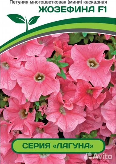 Рассада Петунии Тайдал,Опера,Изи Вейв