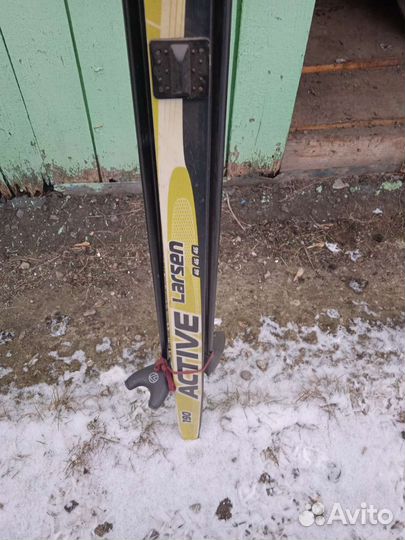 Беговые лыжи