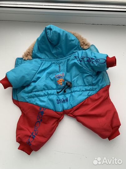 Одежда для маленьких пород собак