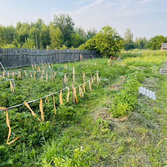 Дом 30 м² на участке 10 сот.