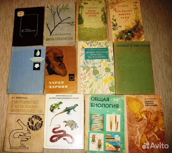 Биология,экология