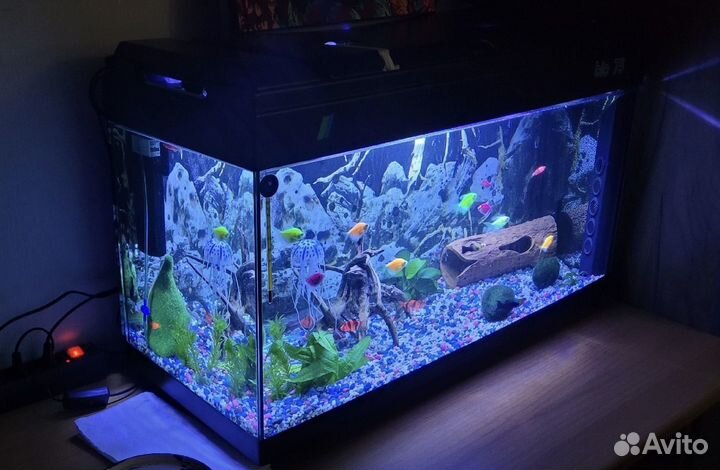 Аквариум с рыбками
