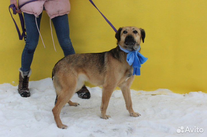 Рейчел молодая девочка, подросток