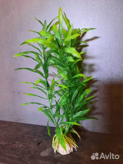 Искусственные растения