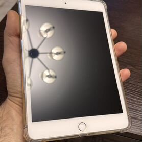 iPad mini 4 64gb cellular