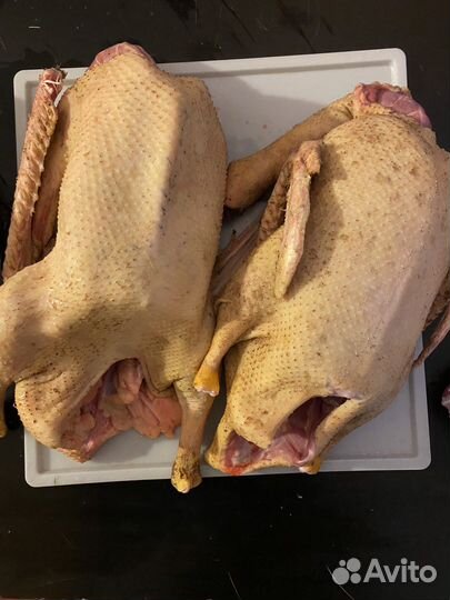 Мясо птицы