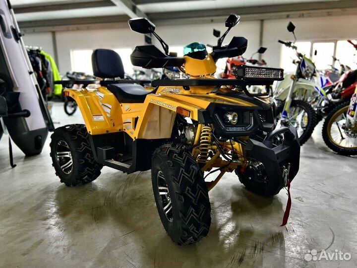 Квадроцикл Avantis 300 Big Max наличие