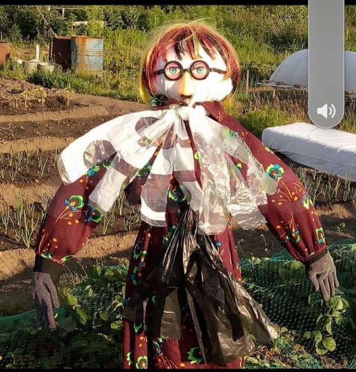 Участок 15 сот. (СНТ, ДНП)