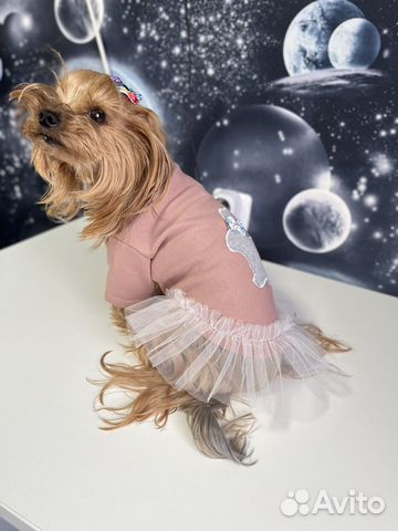 Кофточки для собак и кошек