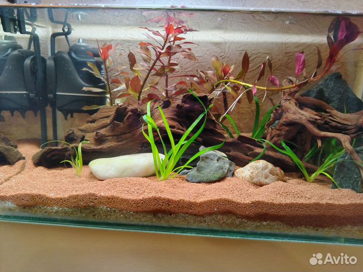 Аквариум