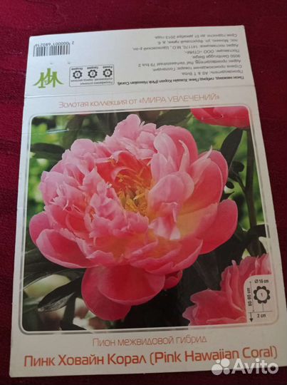 Саженцы и рассада