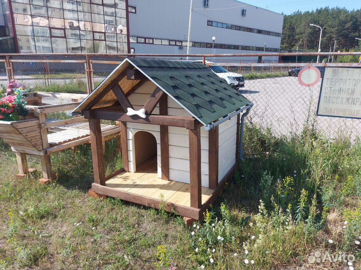 Собачья будка