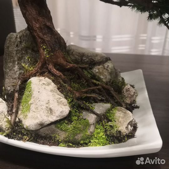 Бонсай искусственный сосна