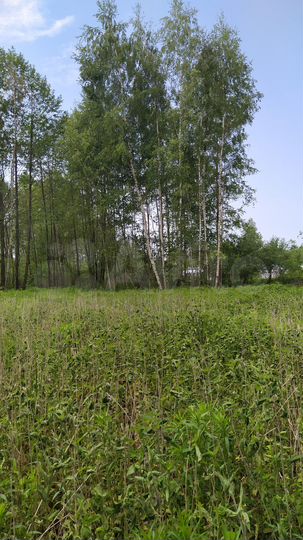 Участок 5 сот. (СНТ, ДНП)