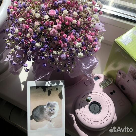 Fujifilm instax mini 12