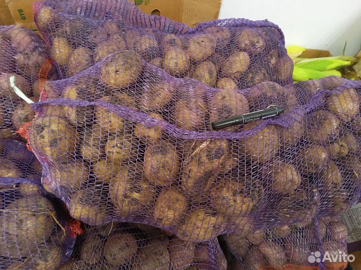 Овощи фрукты оптом и в розницу / картошка / лук