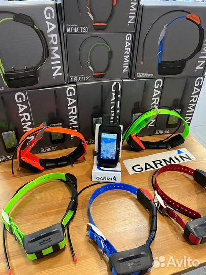 Garmin Alpha 300/300i с ошейником