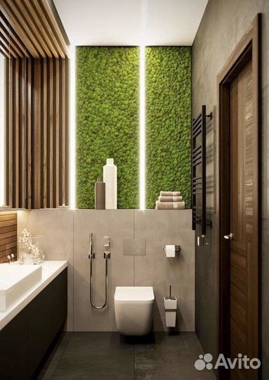 Фитодизайн для помещений