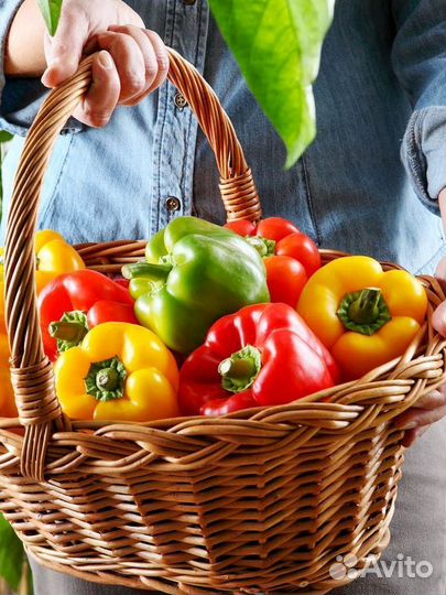 Биогумус жидкий концентрат 3 л