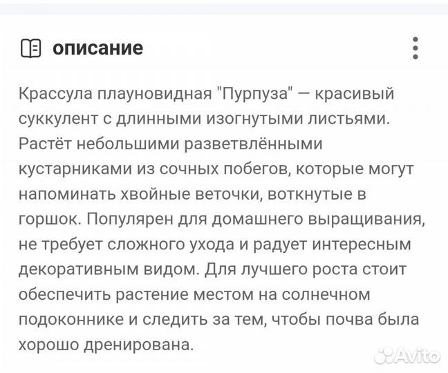 Крассула и седум Буррито