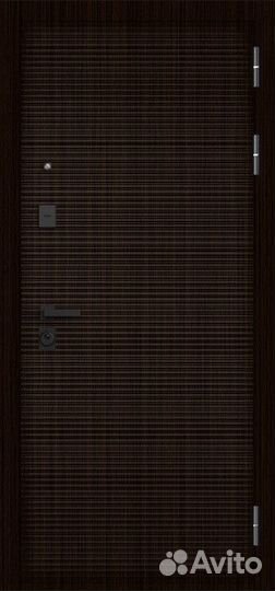 Дверь входная железная в квартиру