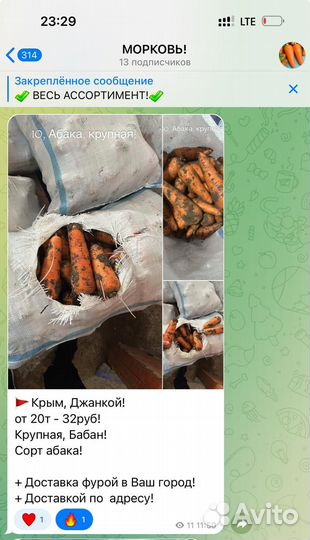 Картофель, Морковь, Капуста, Свекла, Лук