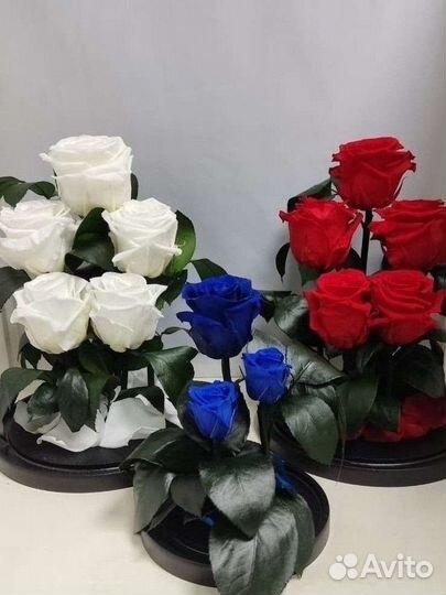 Подарок на новый год / Цветы