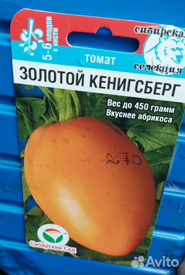 Рассада помидор, черри