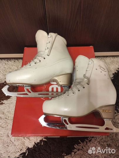Фигурные коньки edea chorus 220