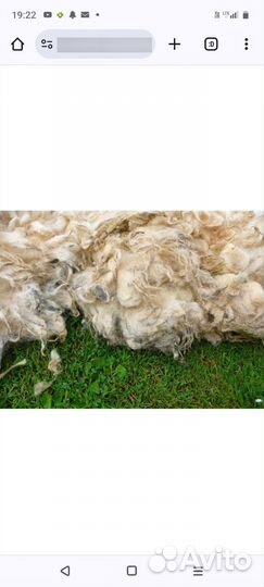 Баранья шерсть