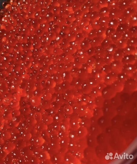 Икра кижучь без септика