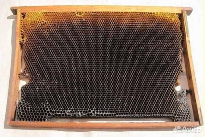 Сушь для пчел