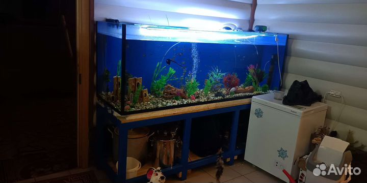 Аквариум 750л