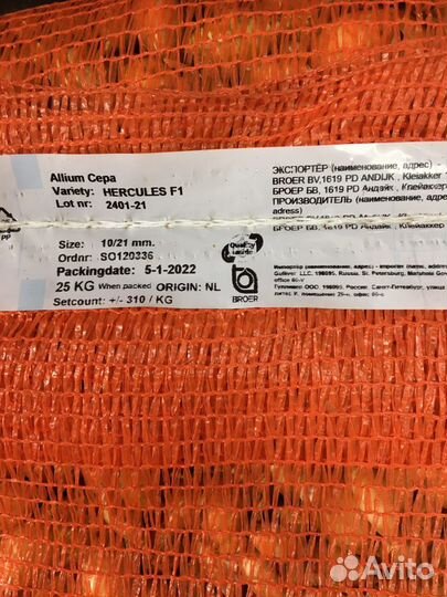 Геркулес (Голландия)