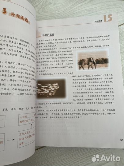 Road to Success Upper Elementary Reading