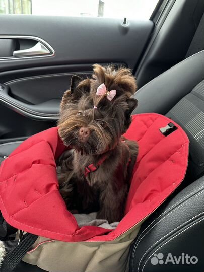 Сумка-переноска для маленьких собак