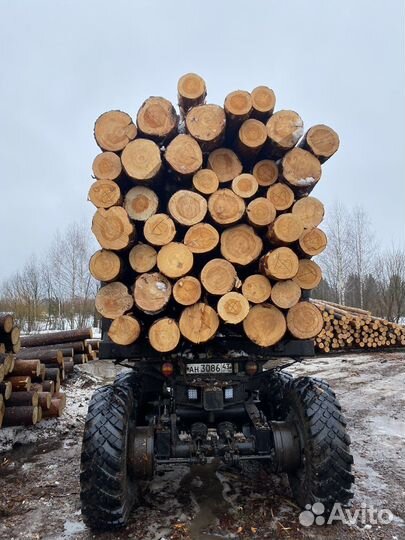 Рабочие на пилораму ежедн выплаты