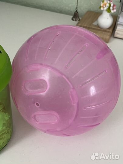 Переноска и шар для хомяка