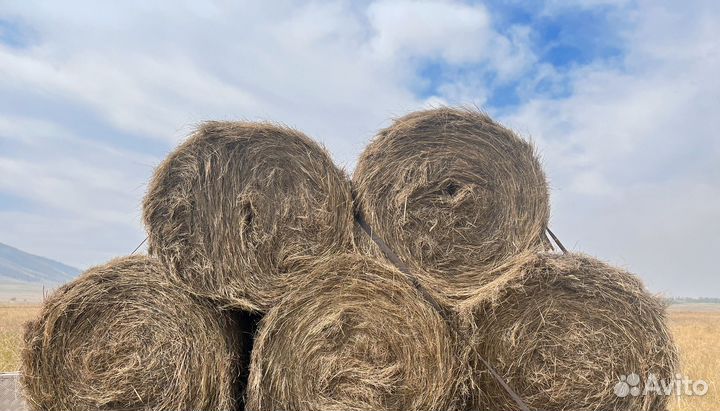 Сено в рулонах